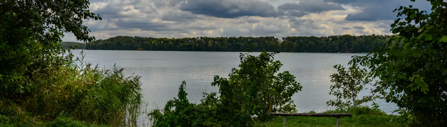 Blick auf den See durch das grün bewachsene Ufer hindurch