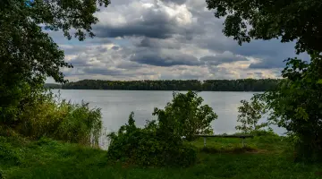 Blick auf den See durch das grün bewachsene Ufer hindurch