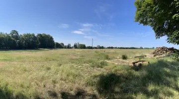 Ein Brandenburgischer Feldweg bei Sonnenschein unter blauem Himmel